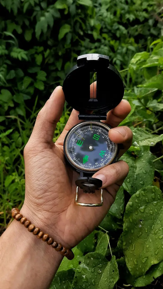 orientation professionnelle